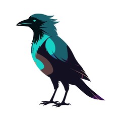 crow on a white background