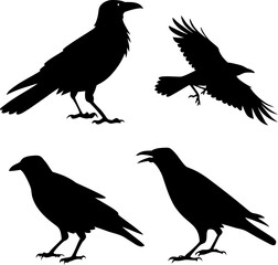 four-black-silhouettes-of-birds--positioned-in-dif7.eps