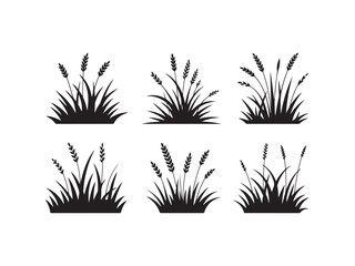 Collection of grass silhouettes vector isolated on white background.
