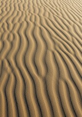 Obraz premium Sand dunes ripple pattern