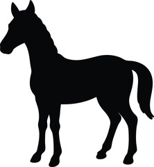 Black horse silhouette vector of a wild stallion standing on a white background