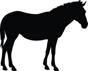 Black silhouette vector illustration of a wild stallion with a flowing mane and tail