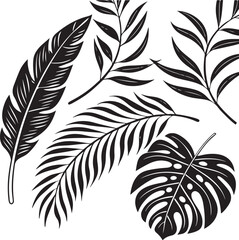 Obraz premium Tropical Leaves Black Silhouette Vector Set – Palm, Monstera, Botanical Line Art Illustration