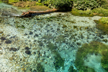 Crystal clear spring water at Blue Eye (Syri i Kaltër) in southern Albania, surrounded by lush green nature and vibrant textures.