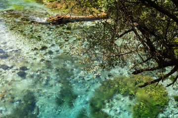 Crystal clear spring water at Blue Eye (Syri i Kaltër) in southern Albania, surrounded by lush green nature and vibrant textures.