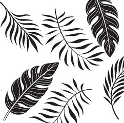 Obraz premium Tropical Leaves Black Silhouette Vector Set – Palm, Monstera, Botanical Line Art Illustration
