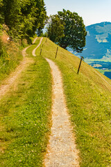 Alpine summer view at Mount Astberg, Going, Kitzbuehel, Tyrol, Austria