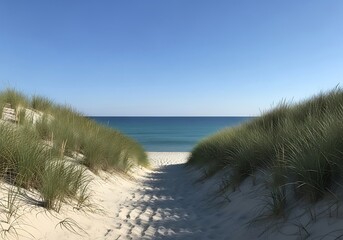 A sandy path through grassy dunes leads to a tranquil blue ocean under a clear sky on a sunny summer day