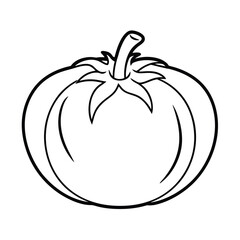 heirloom tomato outline vector on white background