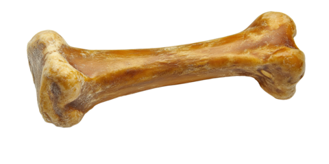 Natural animal femur bone with weathered appearance isolated on white transparent background