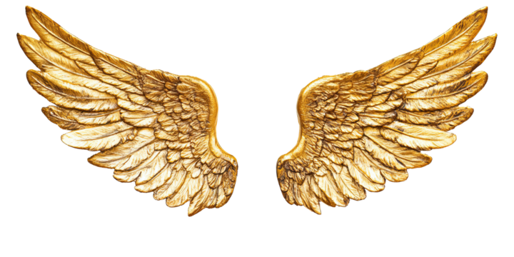 Golden decorative angel wings spread wide isolated on white transparent background