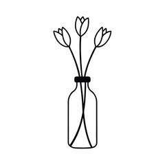 simple tulips stem in bottle vase on white background 