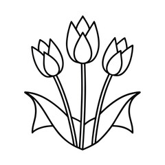 three tulips with ribbon line art on white background