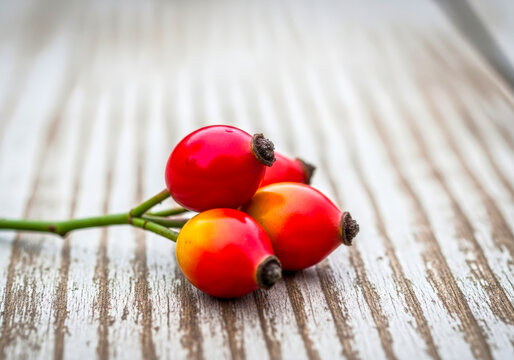 Vibrant Red and Yellow Rose Hips on a Rustic Wooden Surface - Powered by Adobe