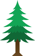 Fototapeta premium Isolated Korean fir branch on white background, evergreen needle tree close-up for botanical, educational, design, nature, seasonal, or Christmas-themed microstock and royalty-free image use