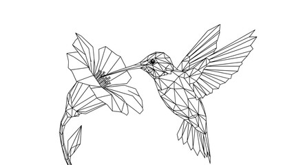 Fototapeta premium Geometric Polygon Hummingbird Line Art Illustration 