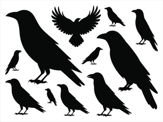 Obraz premium Vector collection of crow and raven silhouettes. Set of black birds in different poses, isolated on a white background.