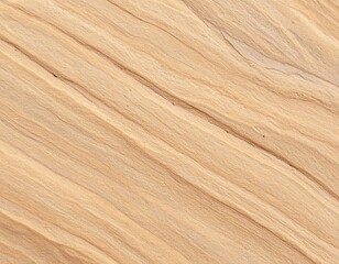 Obraz premium Close-up view of a light beige wood grain texture