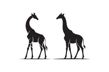 Obraz premium Giraffe Silhouette Pair Design Two Giraffes Standing Silhouette