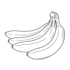 black and white vector images of various fruits