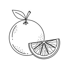 black and white vector images of various fruits