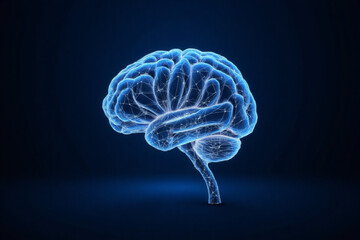 Human brain. Wireframe low poly style. Concept for medical, brain cancer, neural network.  Abstract modern 3d vector illustration on dark blue background