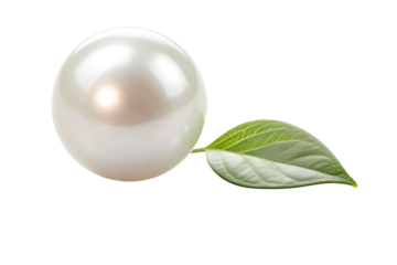 Pearlescent white sphere positioned beside green leaf highlighting nature's precious gem creation and beauty, isolated on a transparent background