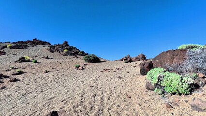 A breathtaking view of a desert landscape featuring rocks and vibrant vegetation under a clear blue sky.