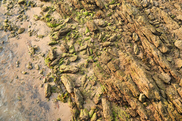 rock formations on beach