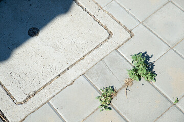 Footprints and Cracks in Concrete