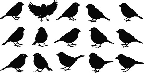 Collection of sparrow bird silhouettes, black vector birds, flying and perched poses, minimal animal design, white background, wildlife clipart set