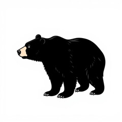 North American Black Bear