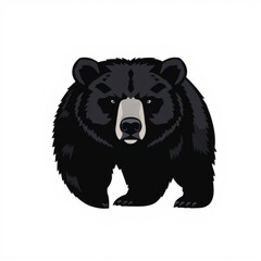 North American Black Bear
