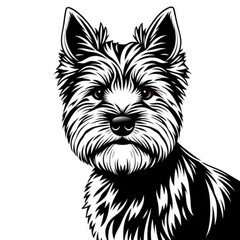 Norwich Terrier Animal Icon