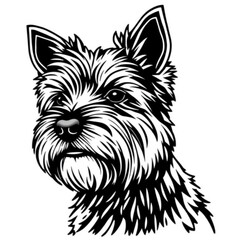 Norwich Terrier Animal Icon