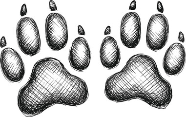 Hand drawn sketch style dog paw prints, black and white illustration, pet footprint vector © MD. NUR ISLAM