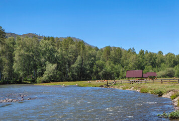 Picturesque river scene with lush forest, clear blue sky and cabins.