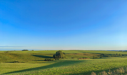 Vibrant green hills under a clear blue sky create a beautiful summer landscape.