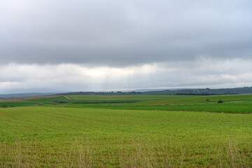 Green cereal field under dramatic cloudy sky in Palencia countryside