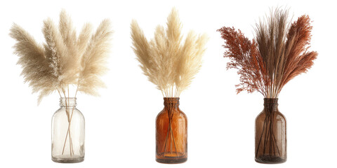 Three dried pampas grass arrangements in clear and amber glass vases
