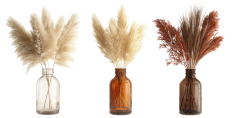 Three dried pampas grass arrangements in clear and amber glass vases