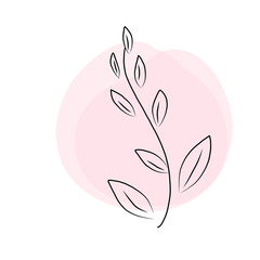 vector illustration of a feather