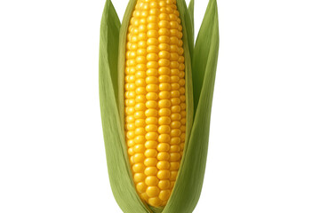 Obraz premium Ripe corn cob partially covered by green leaves on transparent background