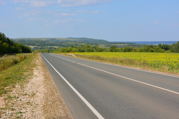 Open Road Through a Sunflower Field on a Sunny Day