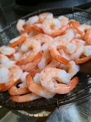 fresh prawn in the filter