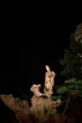 Owl perched on tree trunk under night sky