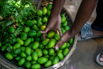 A bunch of green lemon. Many have become a pile together and look like the background.