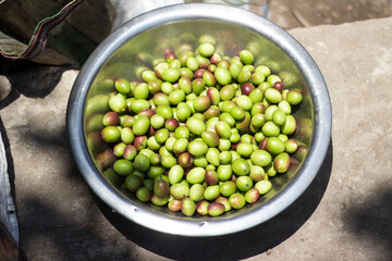 There are many plums in the plastic basket together in the market.