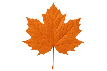 Fototapeta premium Realistic orange maple leaf isolated on transparent background, perfect for adding a touch of autumn to designs