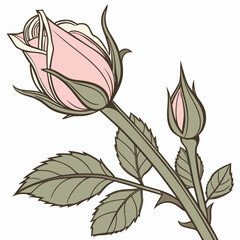 Fototapeta premium A delicate pink rosebud and a smaller bud on a stem with green leaves and thorns rendered in a vintage illustration style